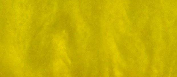 Emergency Contact Backpack Tag