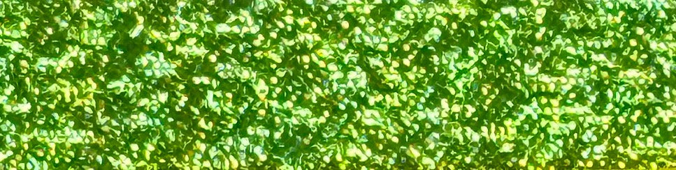 Emergency Contact Backpack Tag